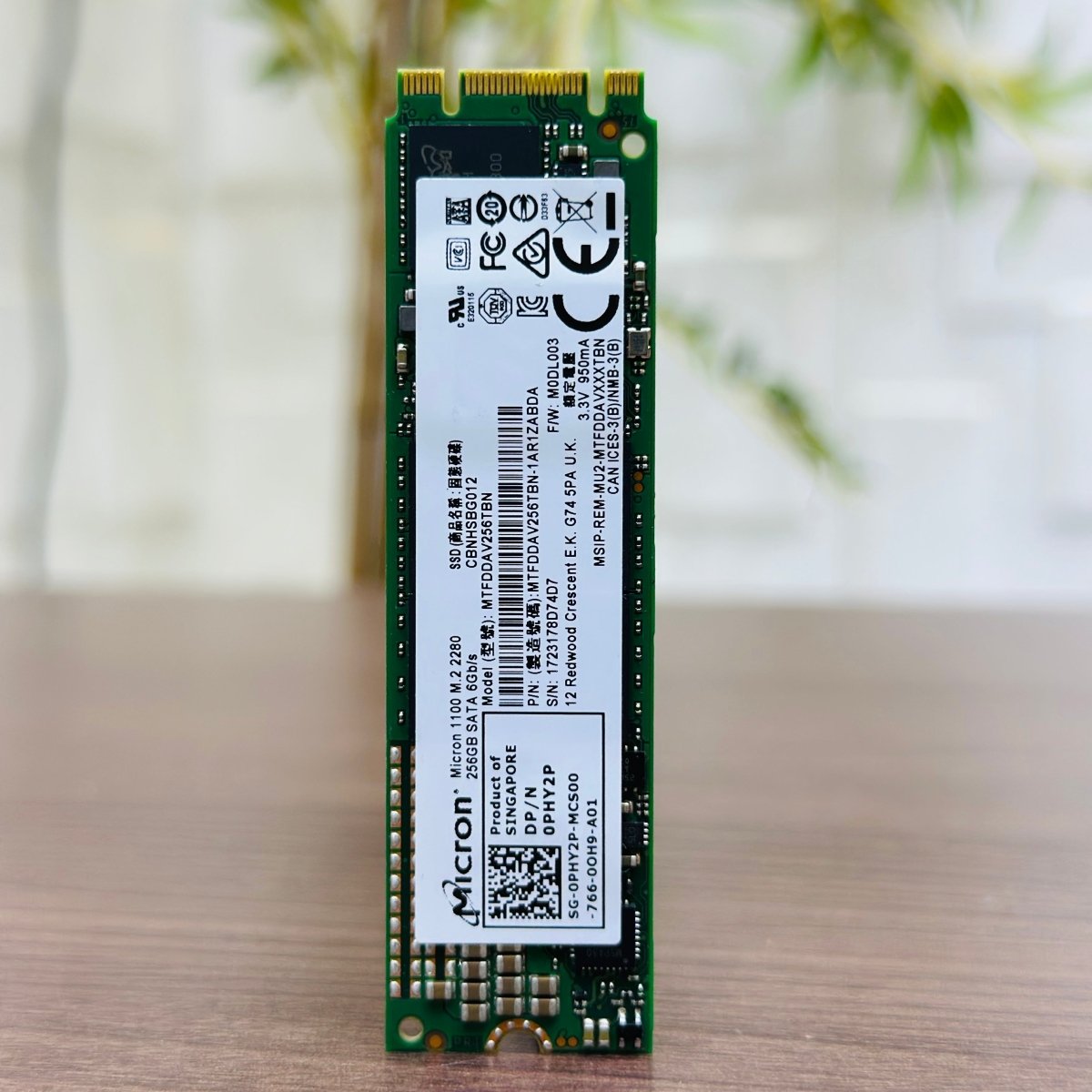 256GB M.2 SSD - Micron