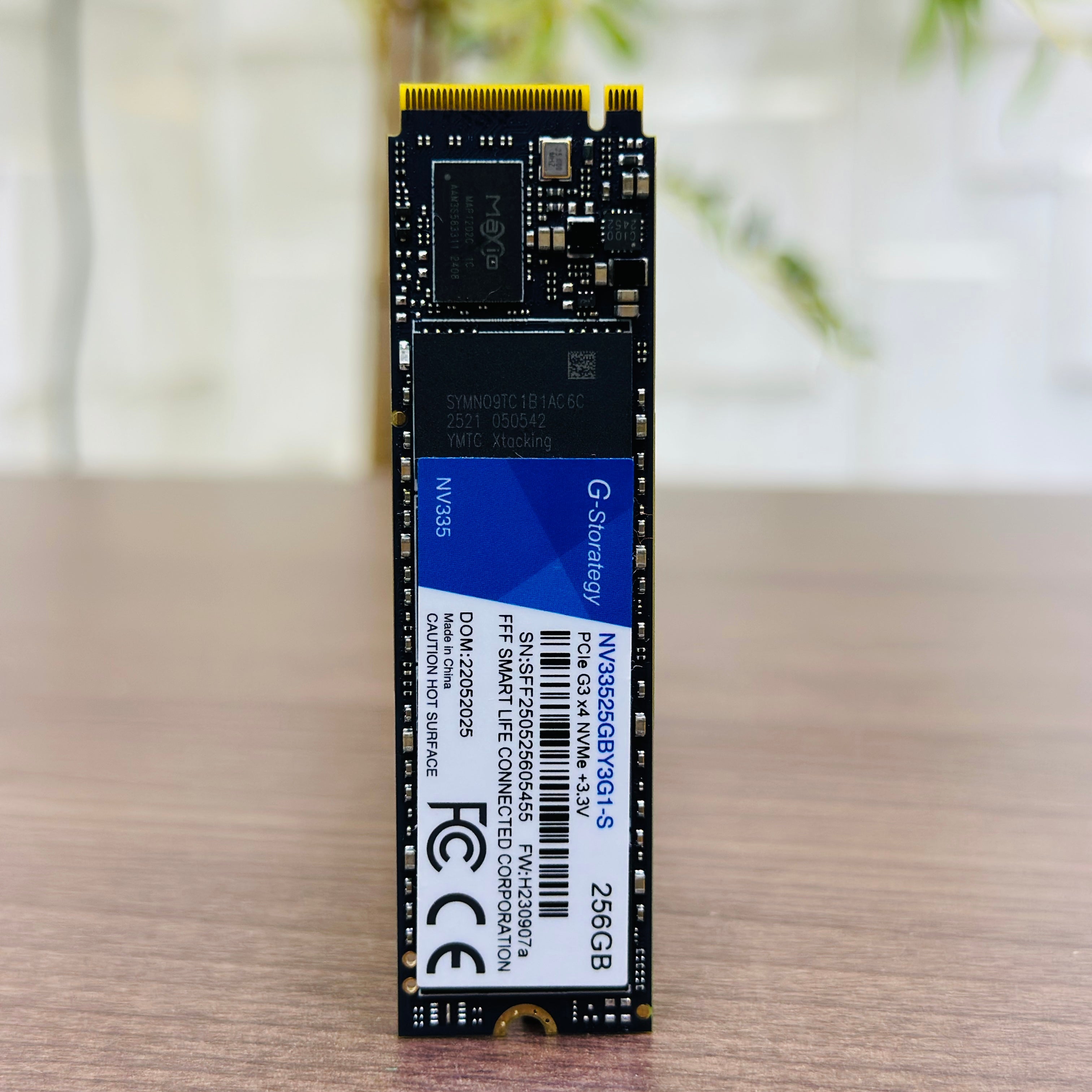 256GB SSD NVMme - G-Storategy