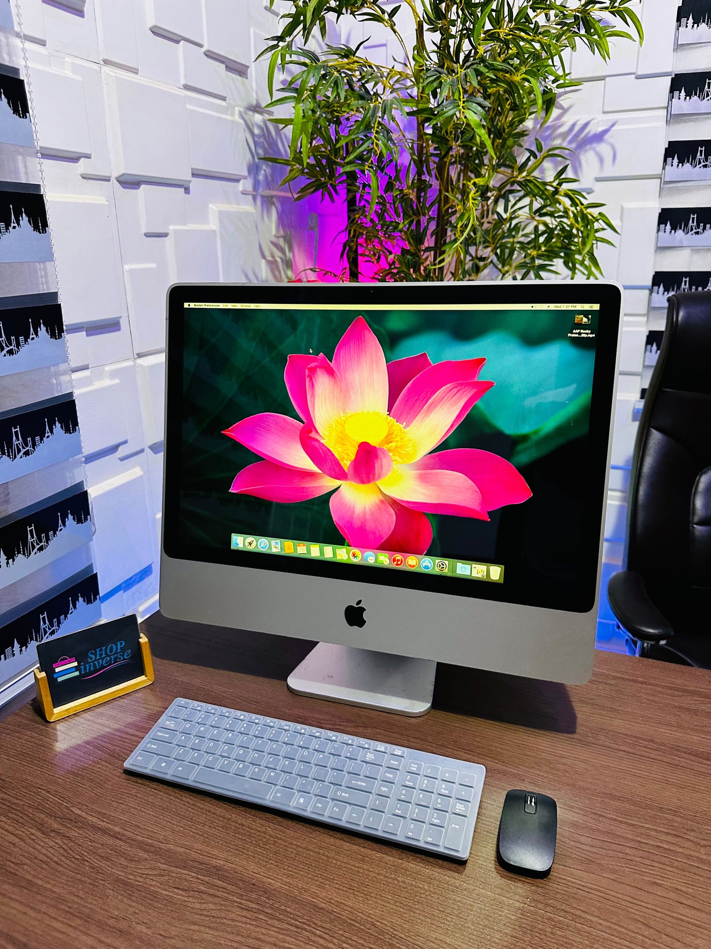 24-inch Apple iMac Pro - Intel Core 2 Dou - 500GB HDD - 4GB RAM