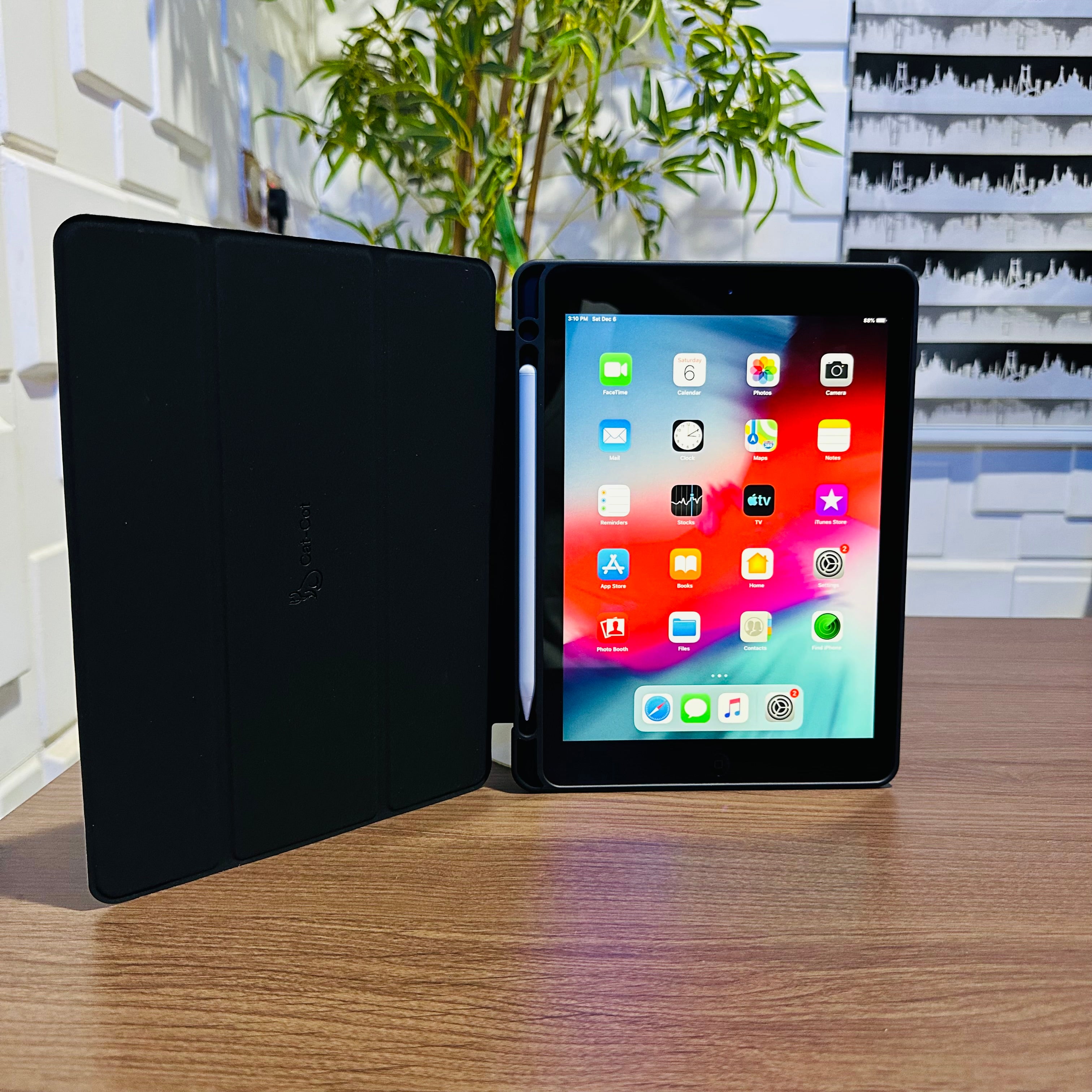 iPad Protective Case