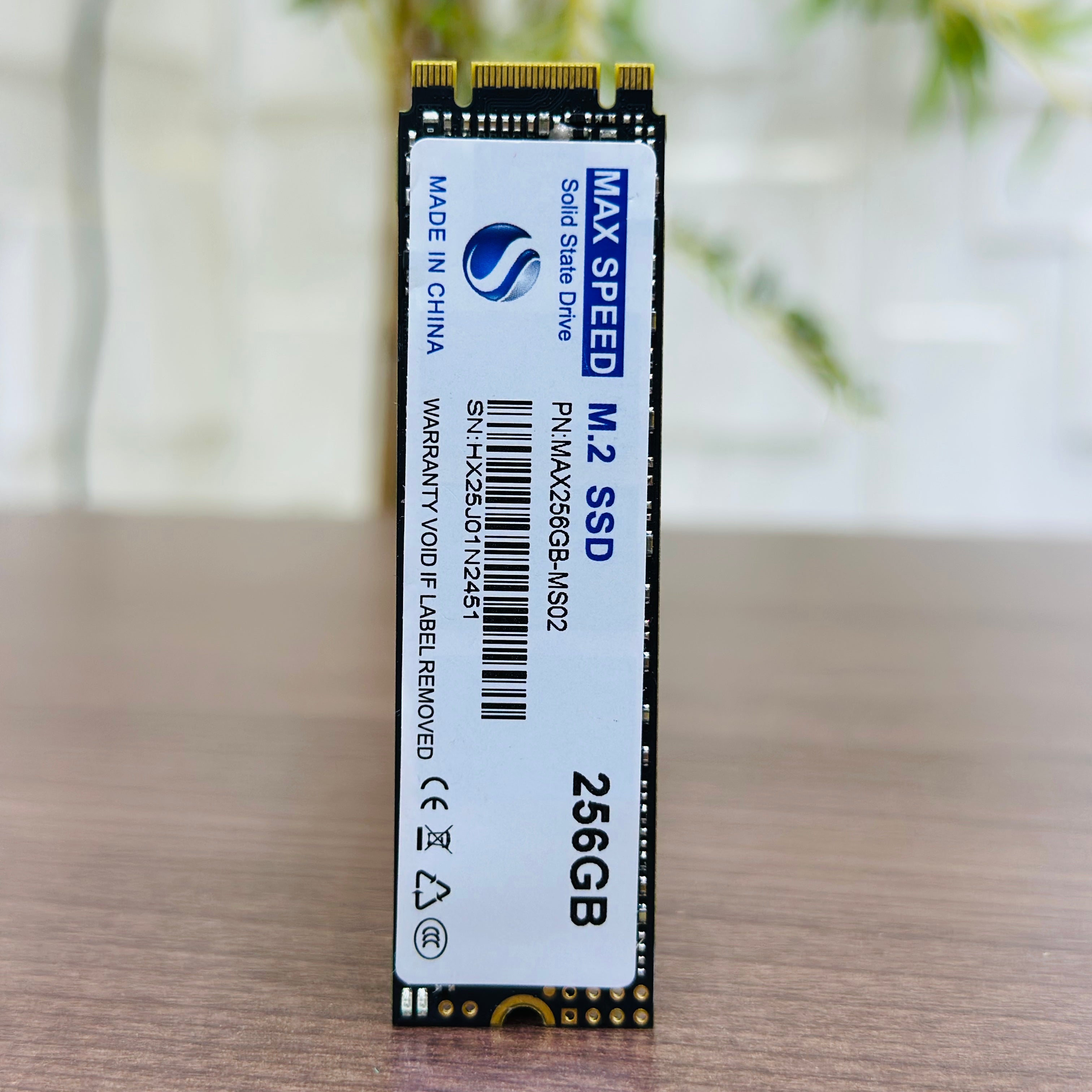 256GB M.2 SSD - Max Speed