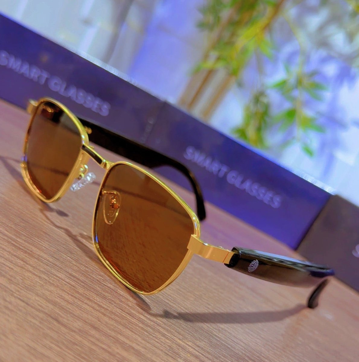 HY1003 Smart Glasses