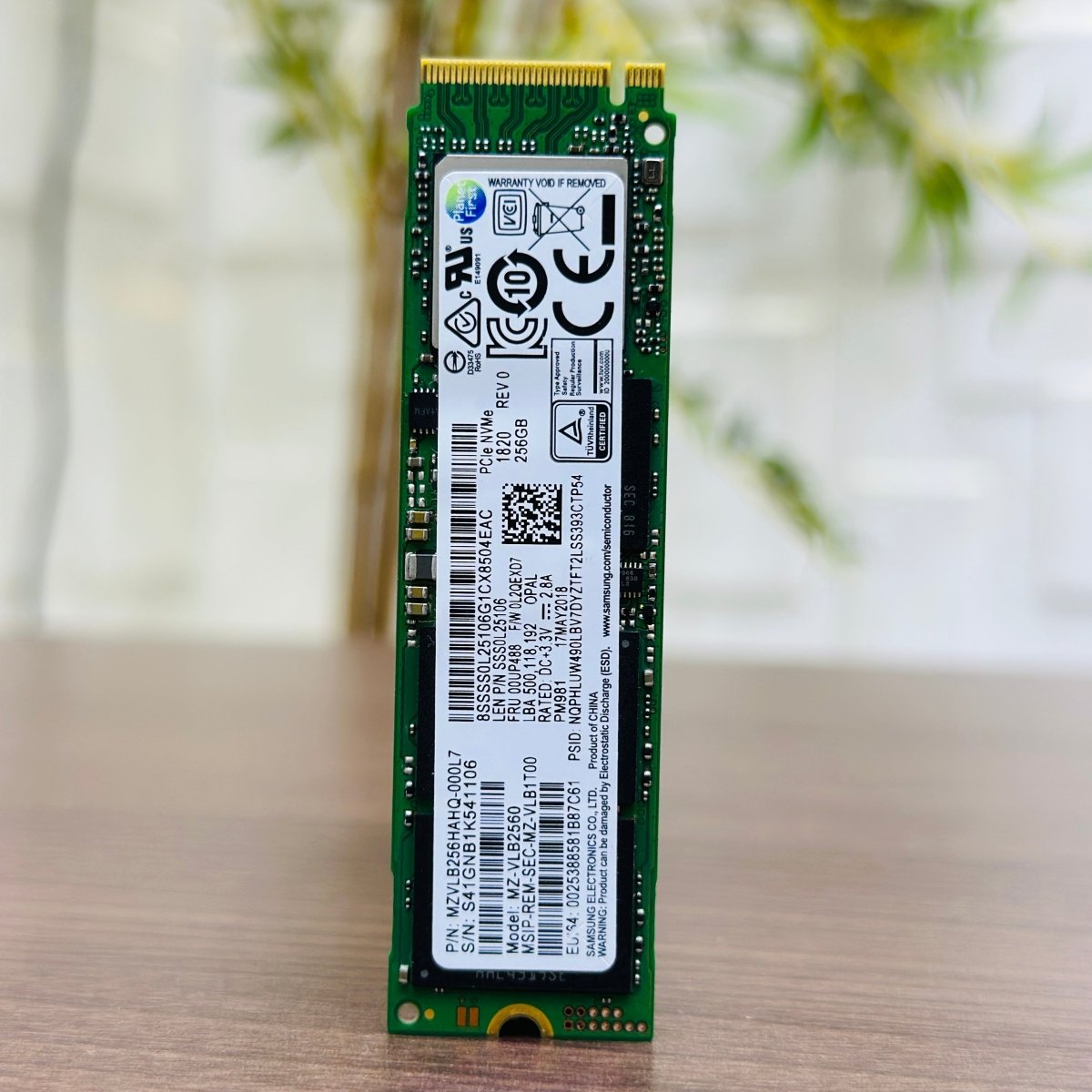 256GB SSD NVMe - Planet First