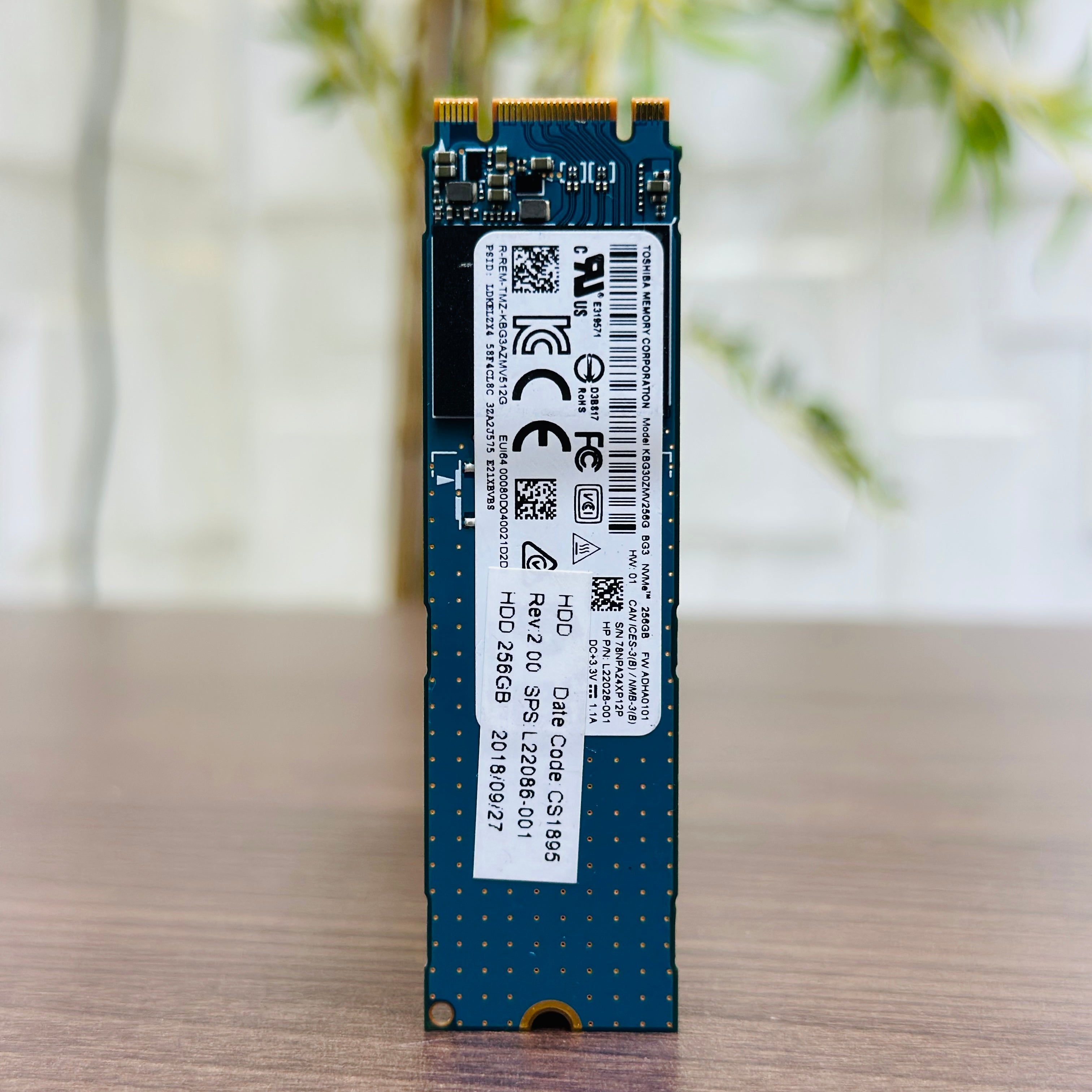 256GB M.2 SSD - Toshiba