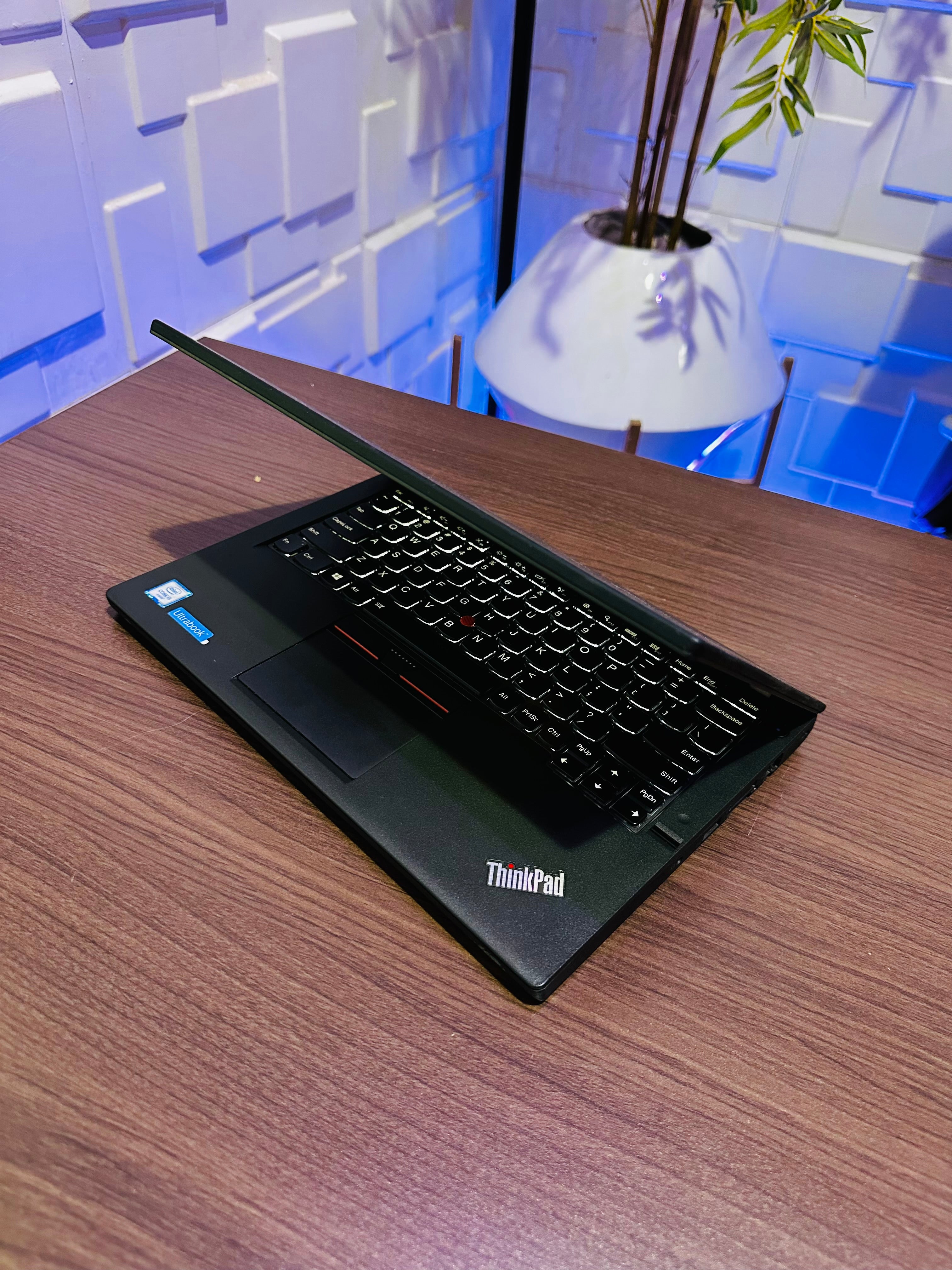 Lenovo ThinkPad X260 - 6th Gen. Intel Core i5 - 256GB SSD - 8GB RAM - Keyboard Light - 2 Batteries