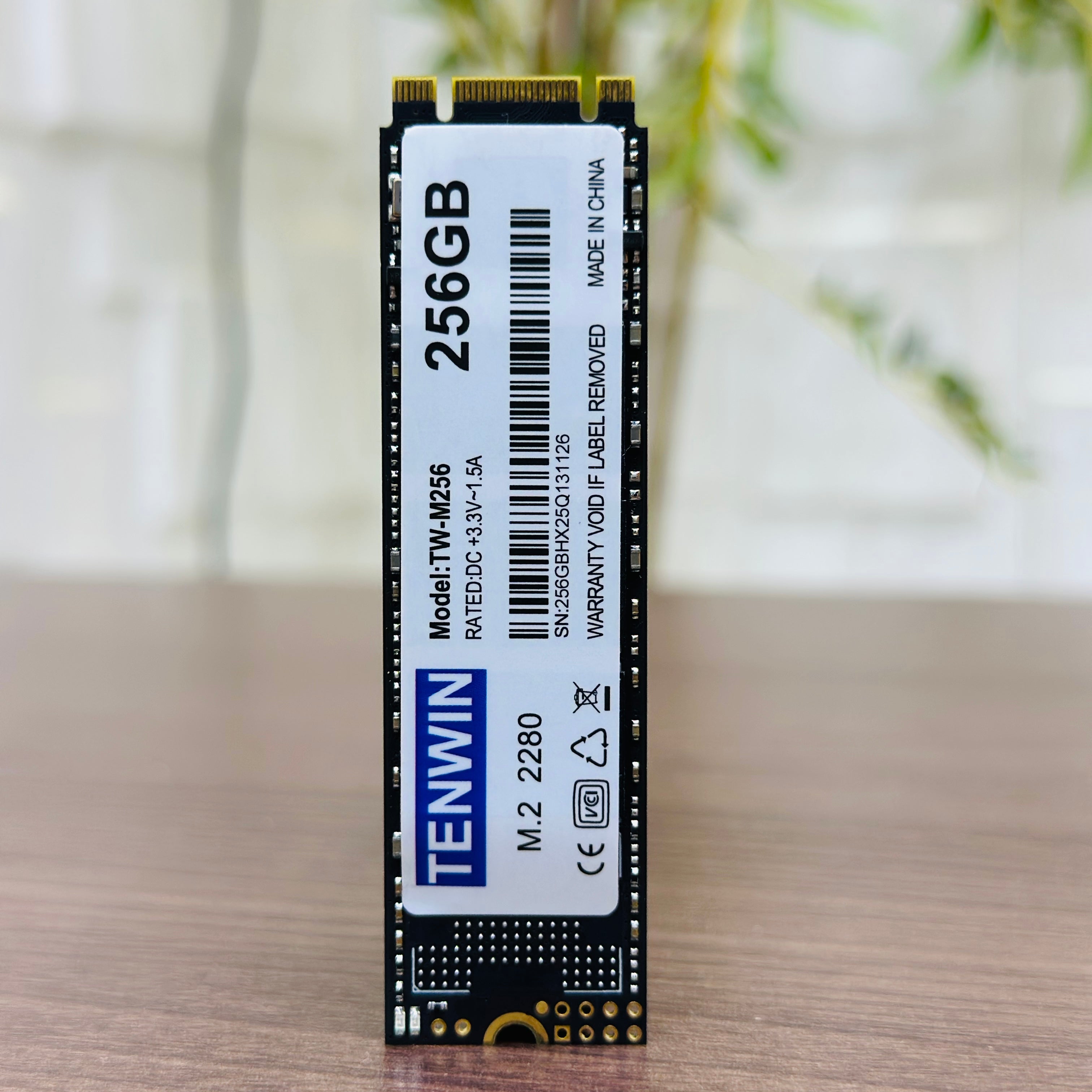 256GB M.2 SSD - Tenwin