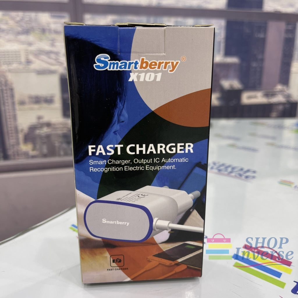 Smartberry X101 Fast Charger SHOPINVERSE