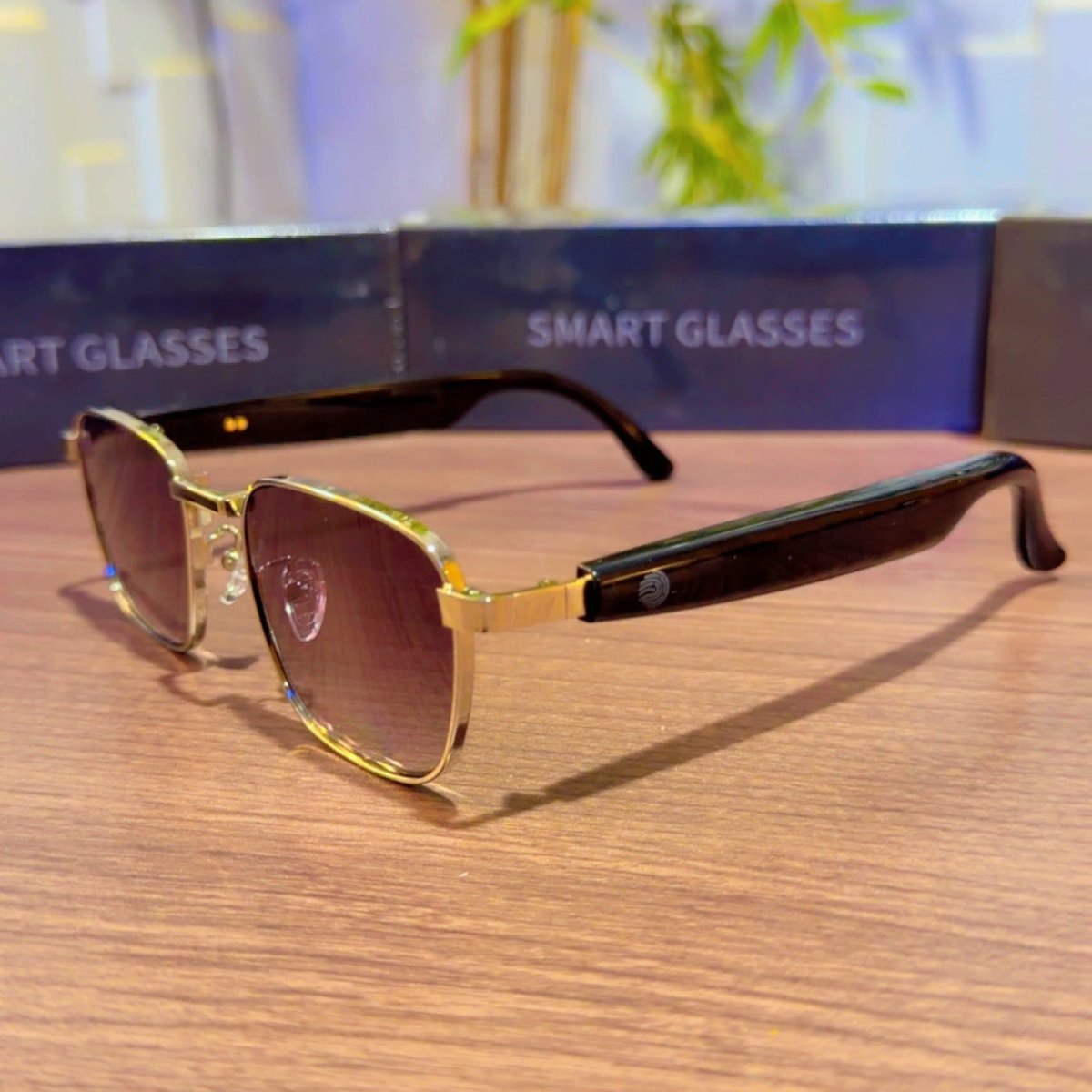 HY1003 Smart Glasses