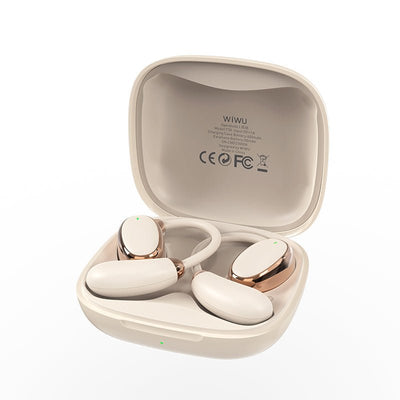 Wiwu T30 AI Noise Cancelling Earbuds